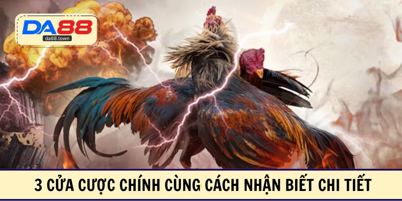Đá Gà Cựa Sắt – Thỏa Mãn Đam Mê Với Các Trận So Tài Hấp Dẫn – DA88🎖 Trang Đích Đăng KÝ DA88.COM 🏆 Lĩnh Tiền Về Túi Riêng - Si88