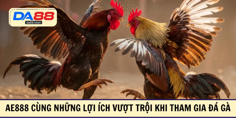 Đá Gà AE888 – Chọn Gà Sát Thủ Ăn Tiền Thắng Lớn Mỗi Ngày – DA88🎖 Trang Đích Đăng KÝ DA88.COM 🏆 Lĩnh Tiền Về Túi Riêng - Si88