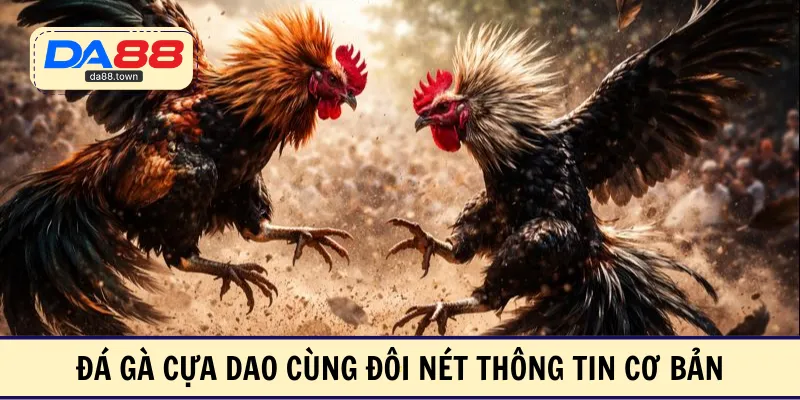 Đá Gà Cựa Dao – Xóa Sổ Đối Thủ Chỉ Bằng Vài Cú Đá Nhẹ – DA88🎖 Trang Đích Đăng KÝ DA88.COM 🏆 Lĩnh Tiền Về Túi Riêng - Si88