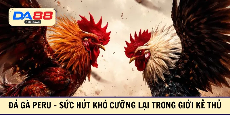 Đá Gà SV388 – Xem Ngay Các Trận Đấu Kinh Điển Nhất Châu Á – DA88🎖 Trang Đích Đăng KÝ DA88.COM 🏆 Lĩnh Tiền Về Túi Riêng - Si88