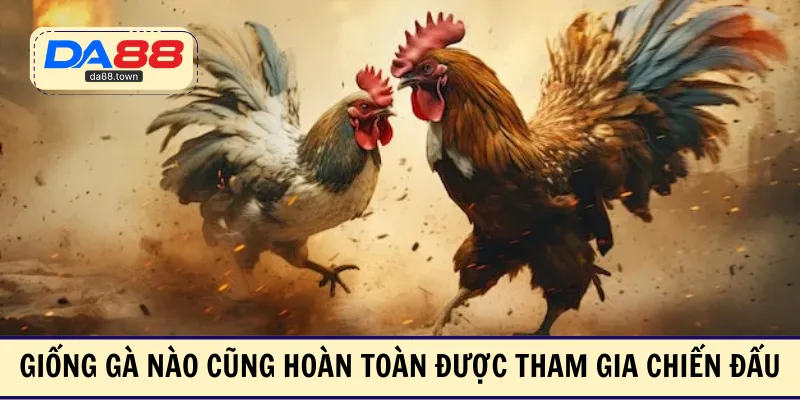 Đá Gà Cựa Dao – Xóa Sổ Đối Thủ Chỉ Bằng Vài Cú Đá Nhẹ – DA88🎖 Trang Đích Đăng KÝ DA88.COM 🏆 Lĩnh Tiền Về Túi Riêng - Si88