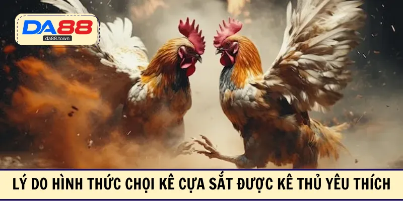 Đá Gà Cựa Sắt – Thỏa Mãn Đam Mê Với Các Trận So Tài Hấp Dẫn – DA88🎖 Trang Đích Đăng KÝ DA88.COM 🏆 Lĩnh Tiền Về Túi Riêng - Si88