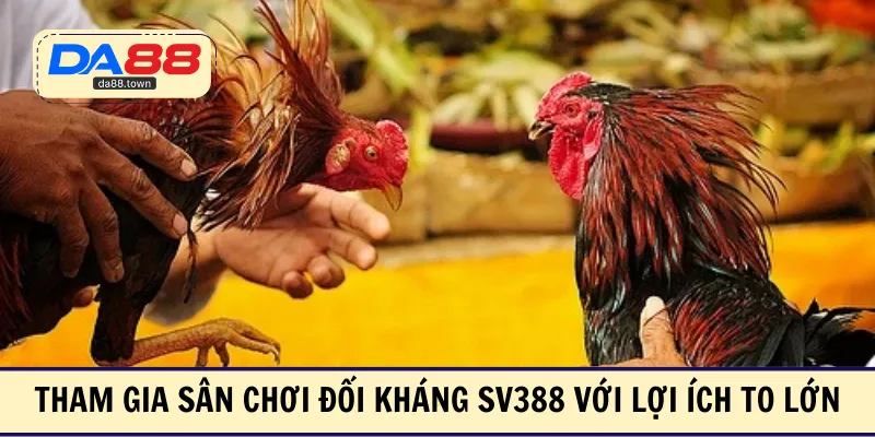 Đá Gà SV388 – Xem Ngay Các Trận Đấu Kinh Điển Nhất Châu Á – DA88🎖 Trang Đích Đăng KÝ DA88.COM 🏆 Lĩnh Tiền Về Túi Riêng - Si88