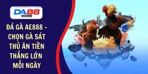ĐÁ GÀ – DA88🎖 Trang Đích Đăng KÝ DA88.COM 🏆 Lĩnh Tiền Về Túi Riêng - Si88