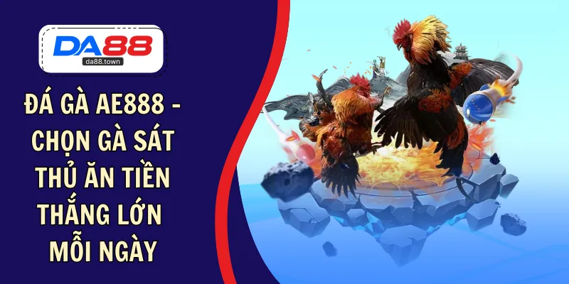 Đá Gà AE888 – Chọn Gà Sát Thủ Ăn Tiền Thắng Lớn Mỗi Ngày – DA88🎖 Trang Đích Đăng KÝ DA88.COM 🏆 Lĩnh Tiền Về Túi Riêng - Si88