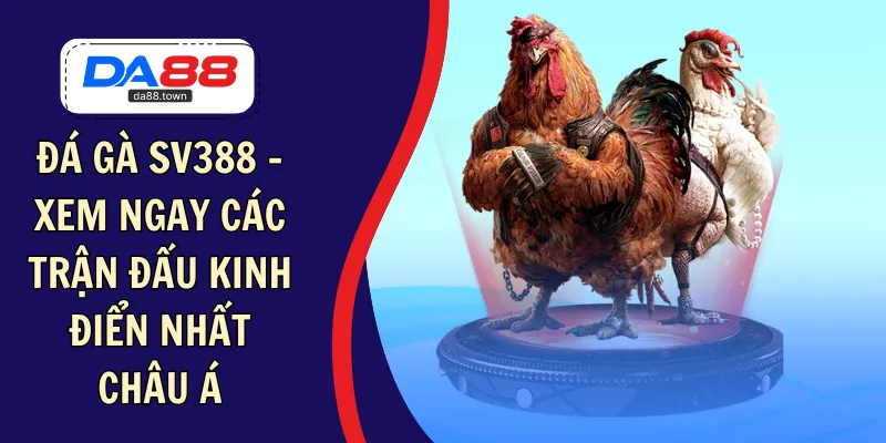 Đá Gà AE888 – Chọn Gà Sát Thủ Ăn Tiền Thắng Lớn Mỗi Ngày – DA88🎖 Trang Đích Đăng KÝ DA88.COM 🏆 Lĩnh Tiền Về Túi Riêng - Si88